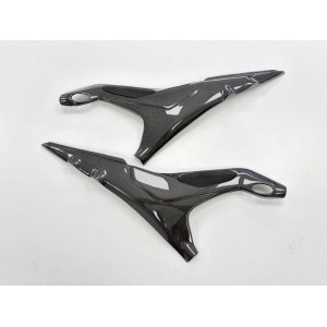Protezione Telaietto sottosella in carbonio per Ducati Panigale V4 - V4S