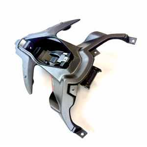 copy of Parafango anteriore in carbonio per Ducati Panigale V4 - V4S - V4R